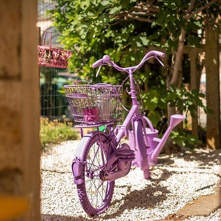 Casa Parenzana Leilighet Poreč Eksteriør bilde