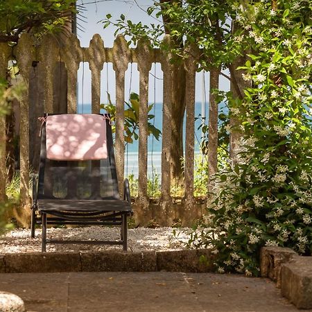 Casa Parenzana Leilighet Poreč Eksteriør bilde